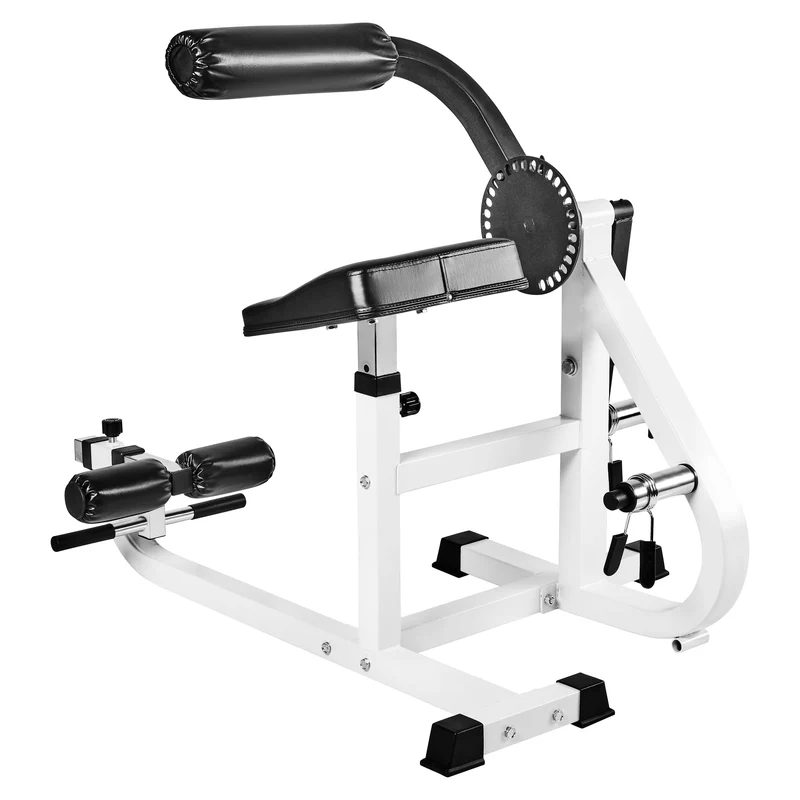 Bauch- und Rückentrainer