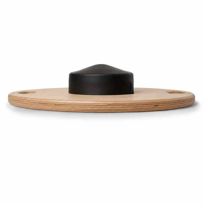 Balance Board Therapiekreisel