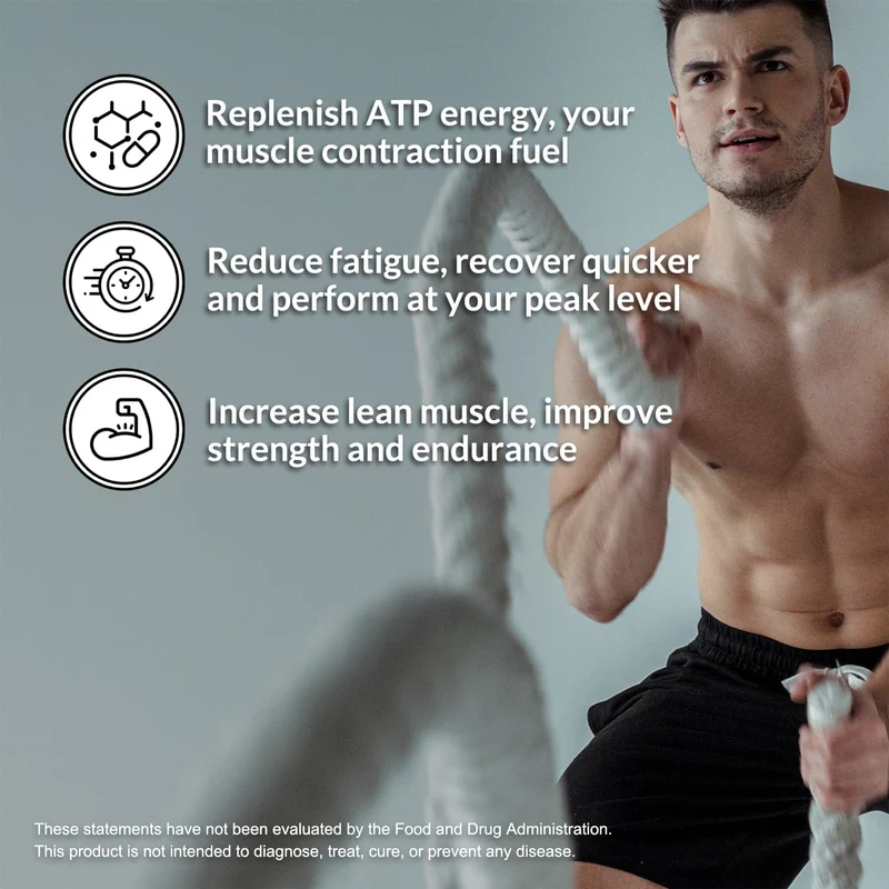 Creatine Monohydrate Powder | Naked Creatine - 500g