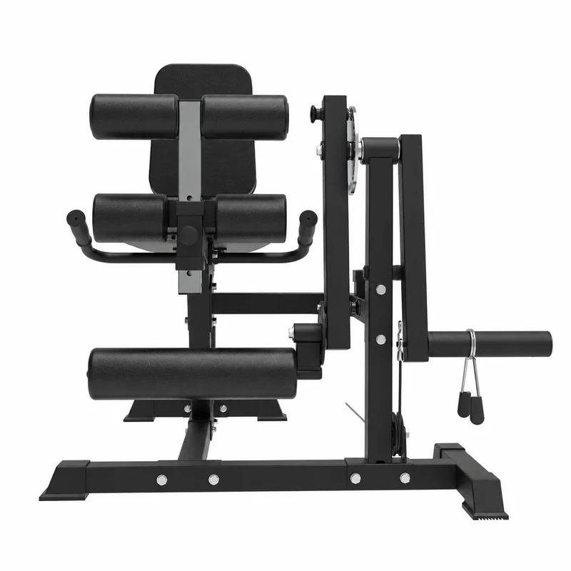 Beinstrecker und -beuger