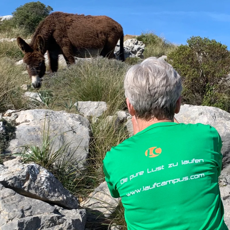 Mallorcas schönste Laufstrecken – Die Insel laufend kennenlernen