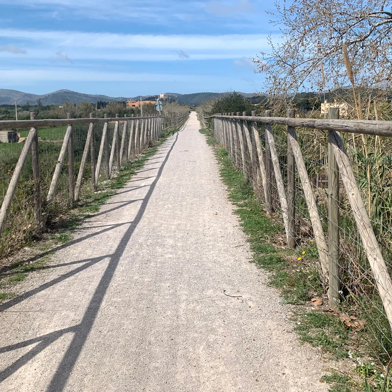 Mallorcas schönste Laufstrecken – Die Insel laufend kennenlernen