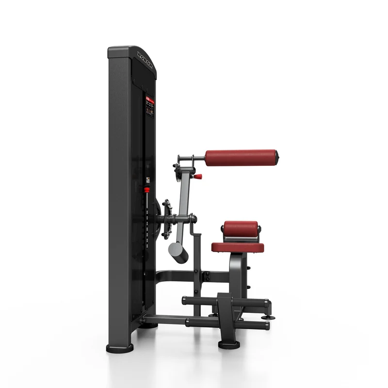 ROBOR SELECTORIZED M-Line - Rückenstrecker / Bauch 2in1 COMBO