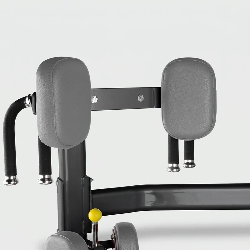 Rotary Torso Maschine - BH Fitness
