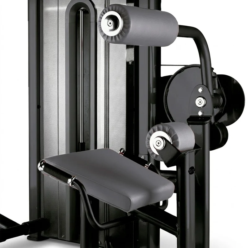 Rückenmaschine (Lower Back Machine) - BH Fitness