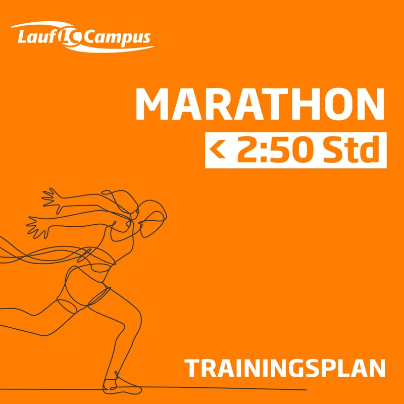 Ihr Marathon-Trainingsplan für Bestzeiten – unter 2:50 Std.