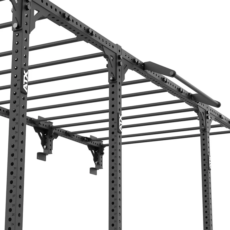 ATX® Functional WALL RIG 700 - Ladder 5