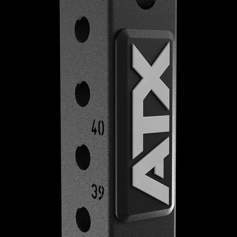 ATX® Functional WALL RIG 700 - Ladder 3