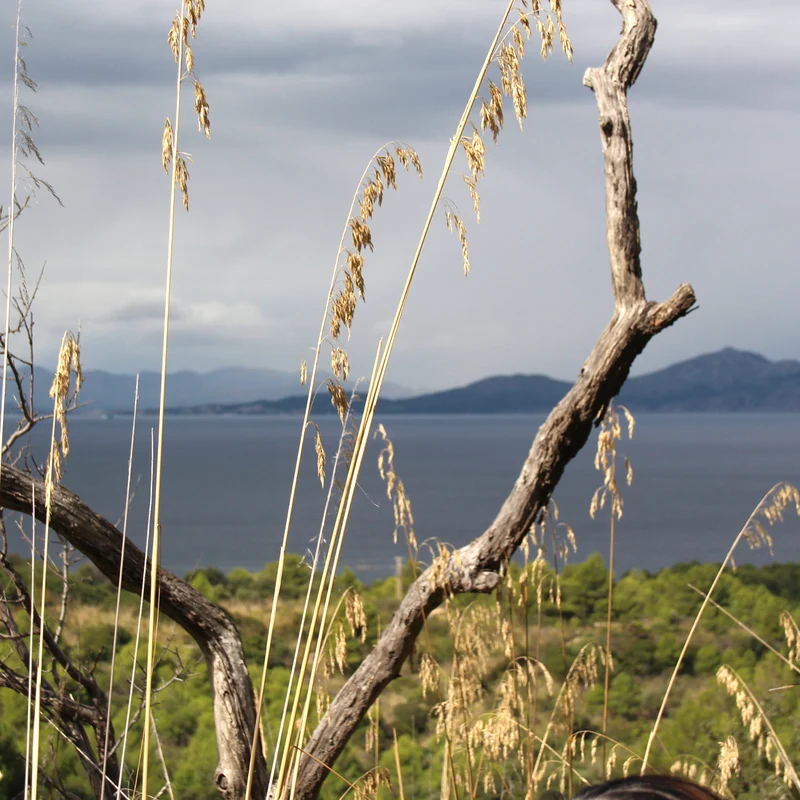 Mallorca Run & Hike | Laufen und Wandern