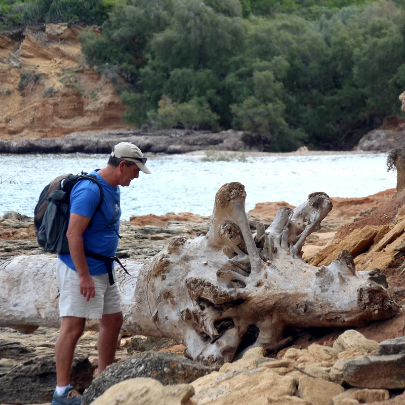 Mallorca Run & Hike | Laufen und Wandern