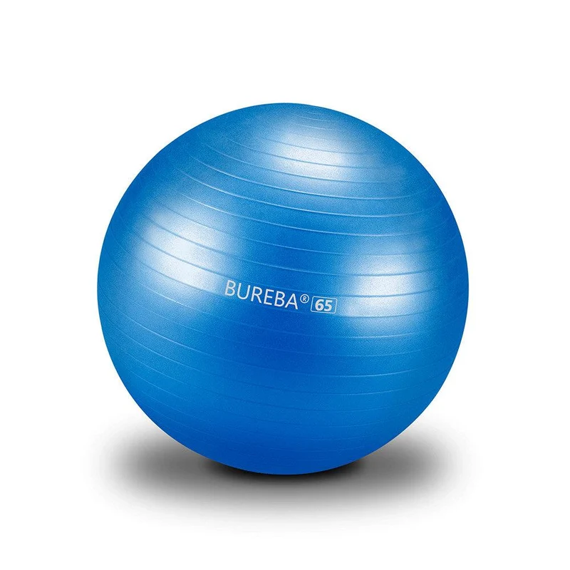 Gymnastikball Professional - 55/ 65/ 75 cm