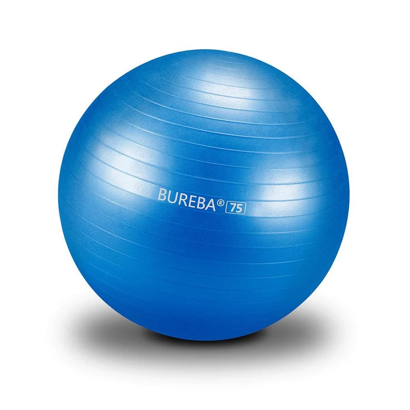Gymnastikball Professional - 55/ 65/ 75 cm