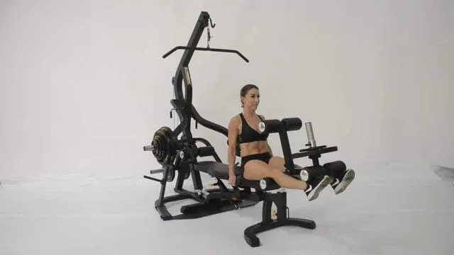 Powertec® BEINSTRECKER & BEINBEUGER ERWEITERUNG WB-LLA - BLACK