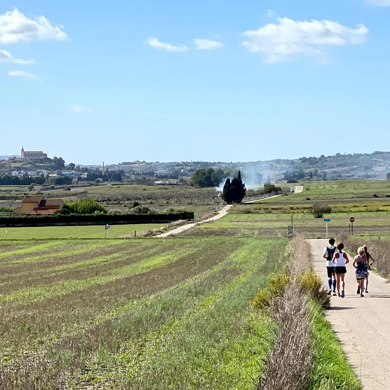 Mallorca Laufcamp – Eine Woche, die dein Laufen verändern kann