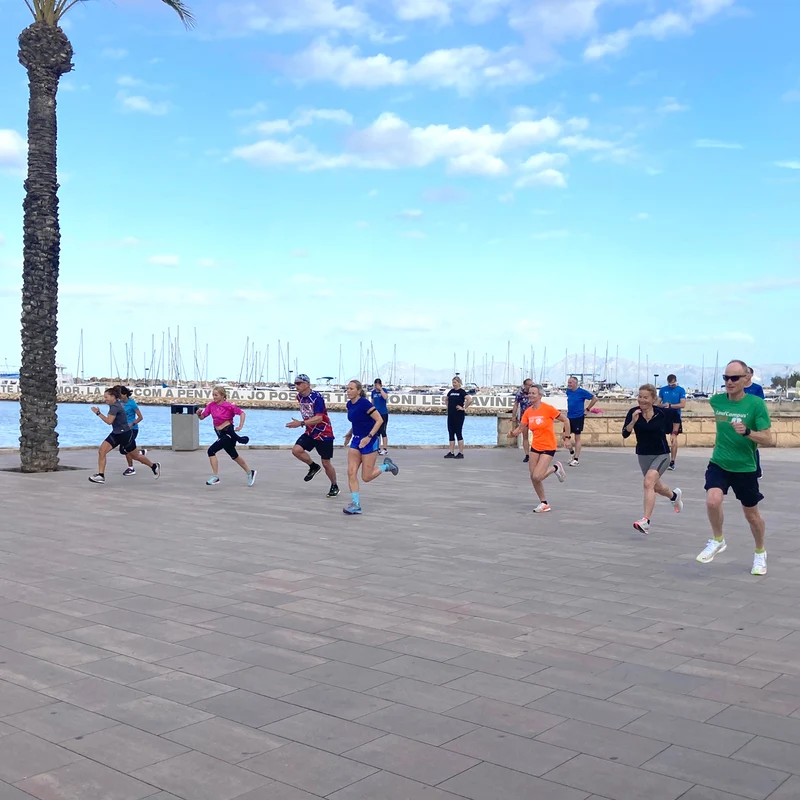 Mallorca Laufcamp – Eine Woche, die dein Laufen verändern kann
