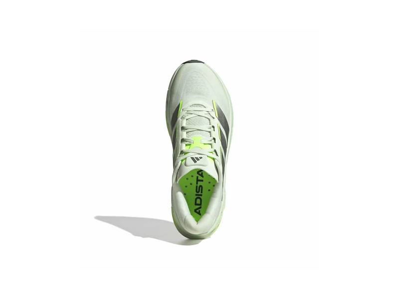Adistar BYD 2