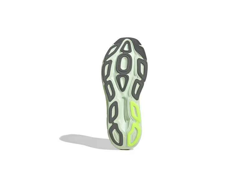 Adistar BYD 2