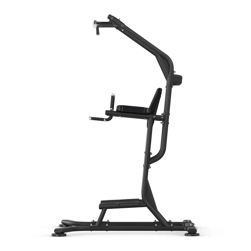Power Tower Leg Raise - Vision Fitness