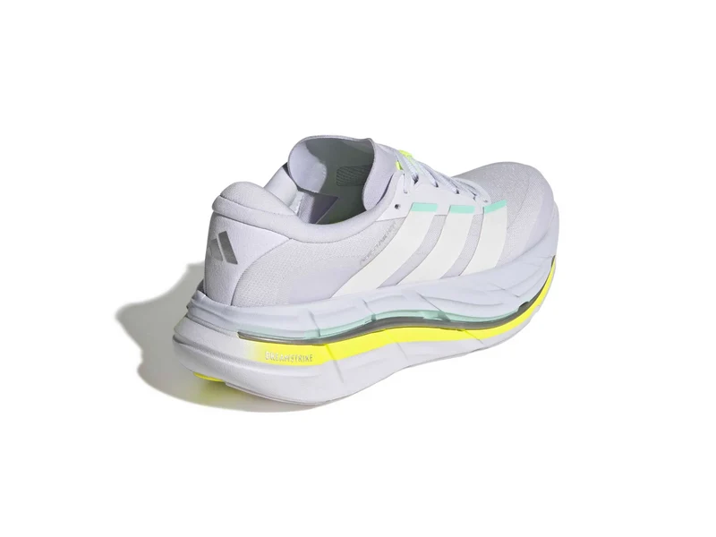 Adistar BYD 2 w