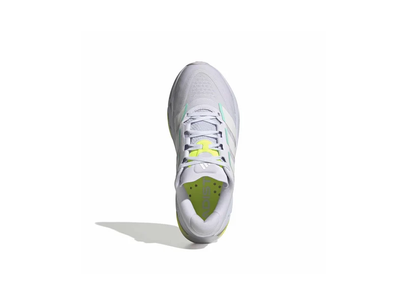 Adistar BYD 2 w