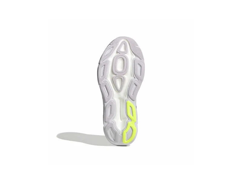 Adistar BYD 2 w