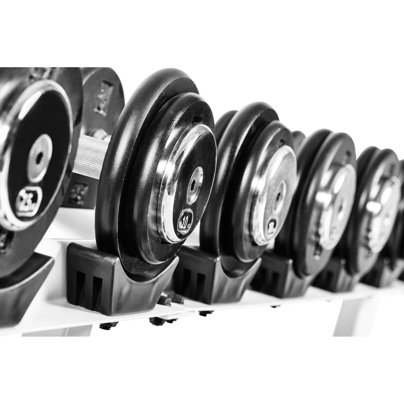 Profi Studio Satz von 5 Kg - 27,5 Kg inkl. Ablage/Rack Guss