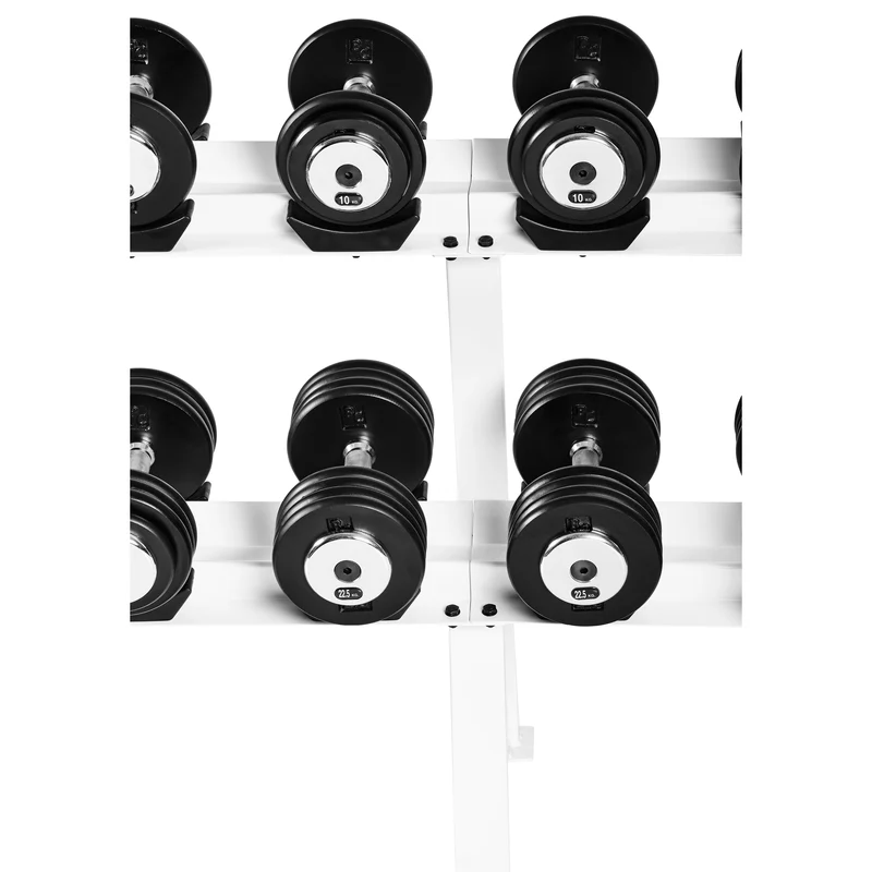 Profi Studio Satz von 5 Kg - 27,5 Kg inkl. Ablage/Rack Guss