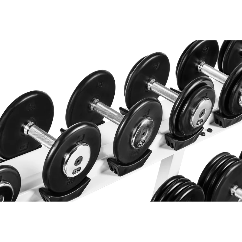Profi Studio Satz von 5 Kg - 27,5 Kg inkl. Ablage/Rack Gummi
