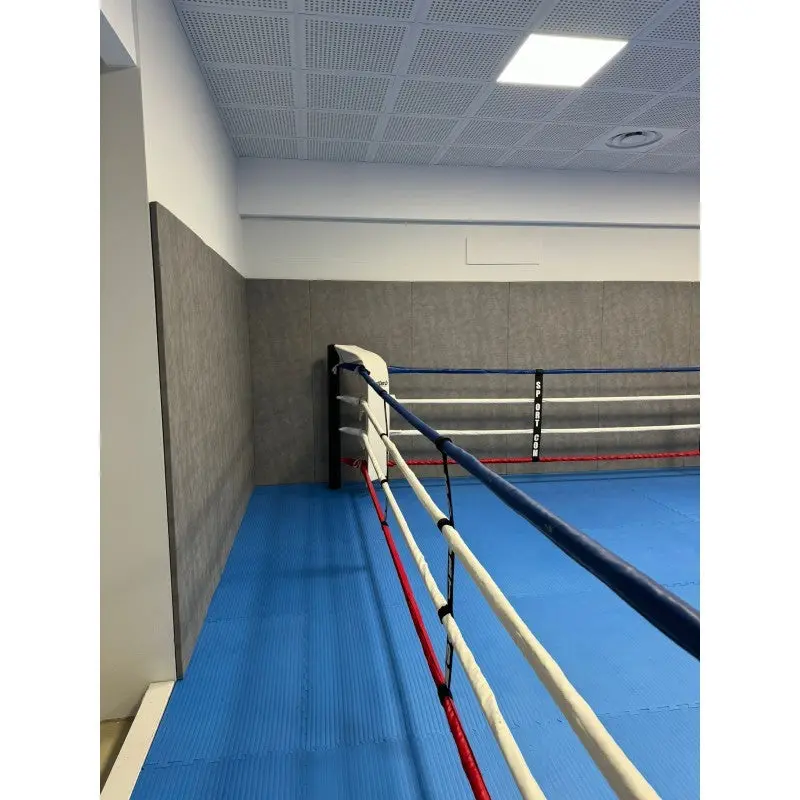 Trainingsboxring-Seile mit Hüllen