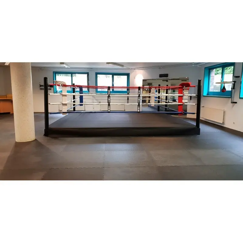 Pro-Trainingsboxring mit 30 cm Podium