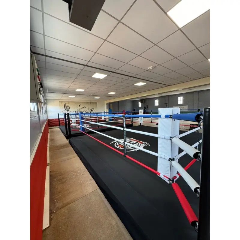 Pro-Trainingsboxring mit 30 cm Podium