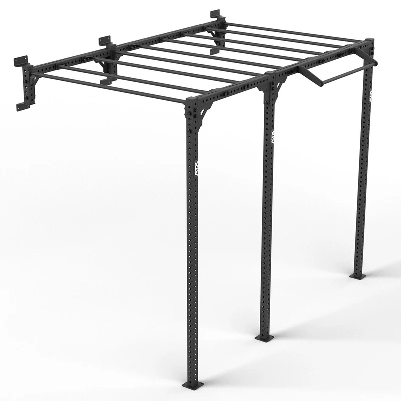 ATX® Functional WALL RIG 700 - Ladder 2