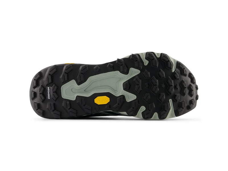 Fresh Foam Hierro V9 GTX D
