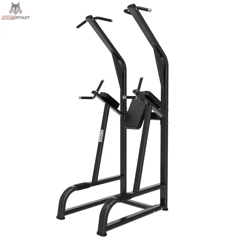 Klimmzug und Dipstation Titanium Strength Black Series