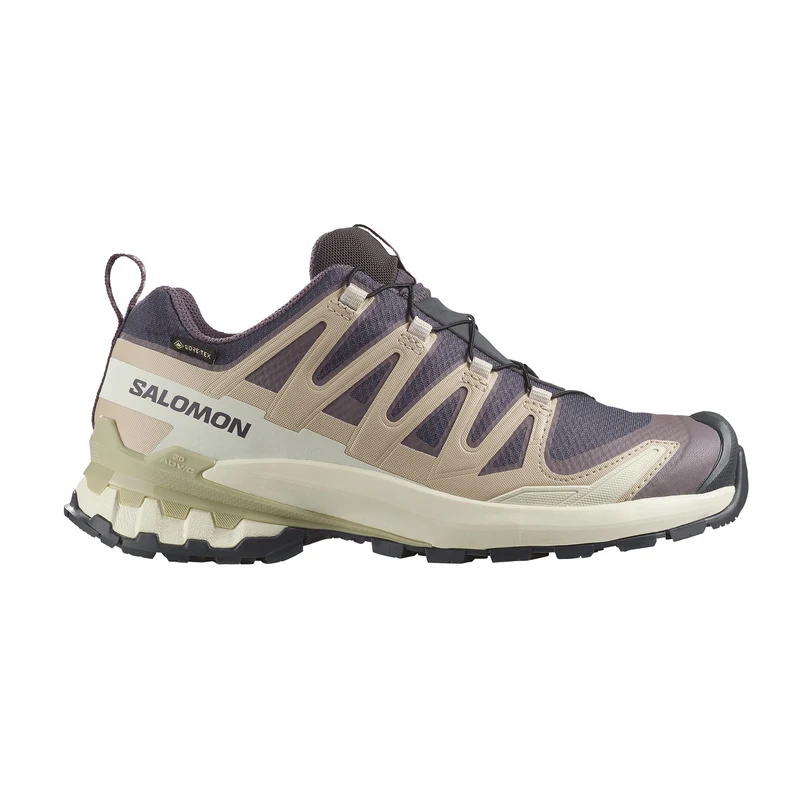 XA Pro 3D V9 Gore-Tex Trailrunningschuhe