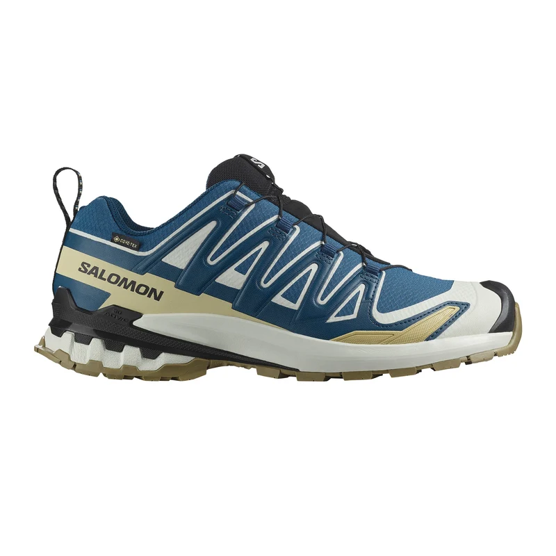 XA Pro 3D V9 Gore-Tex Trailrunningschuhe