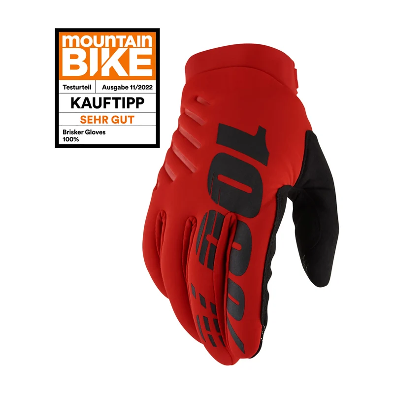 Gloves Brisker