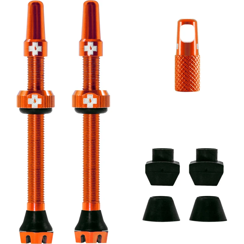 V2 Tubeless Ventil Kit