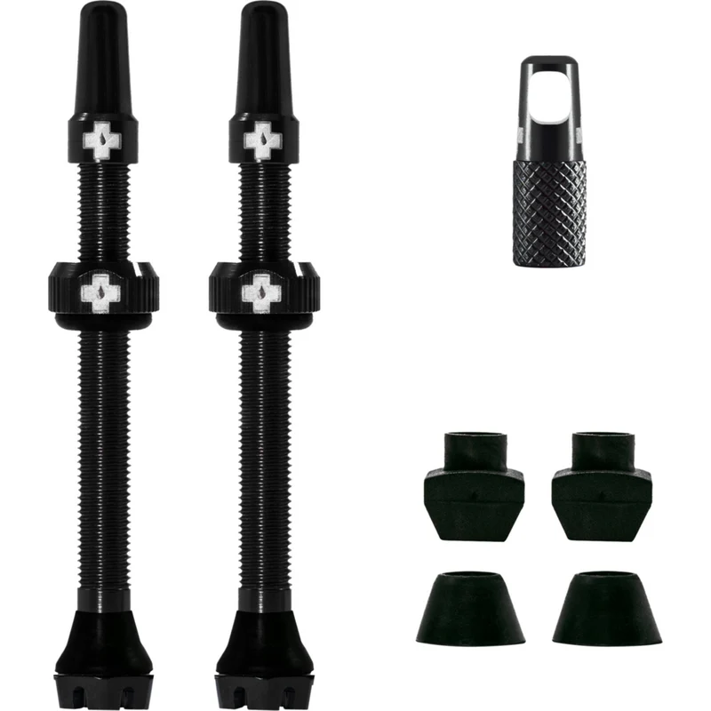V2 Tubeless Ventil Kit