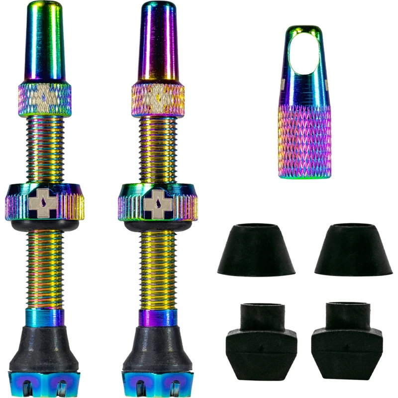 V2 Tubeless Ventil Kit