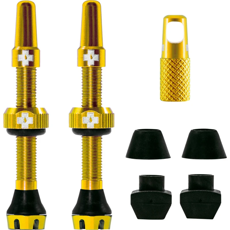 V2 Tubeless Ventil Kit