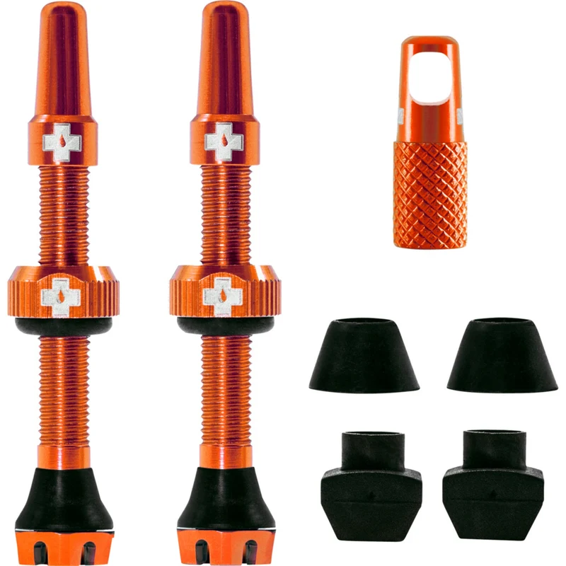 V2 Tubeless Ventil Kit