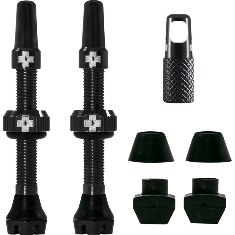 V2 Tubeless Ventil Kit