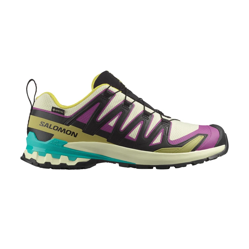 XA Pro 3D V9 Gore-Tex Trailrunningschuhe