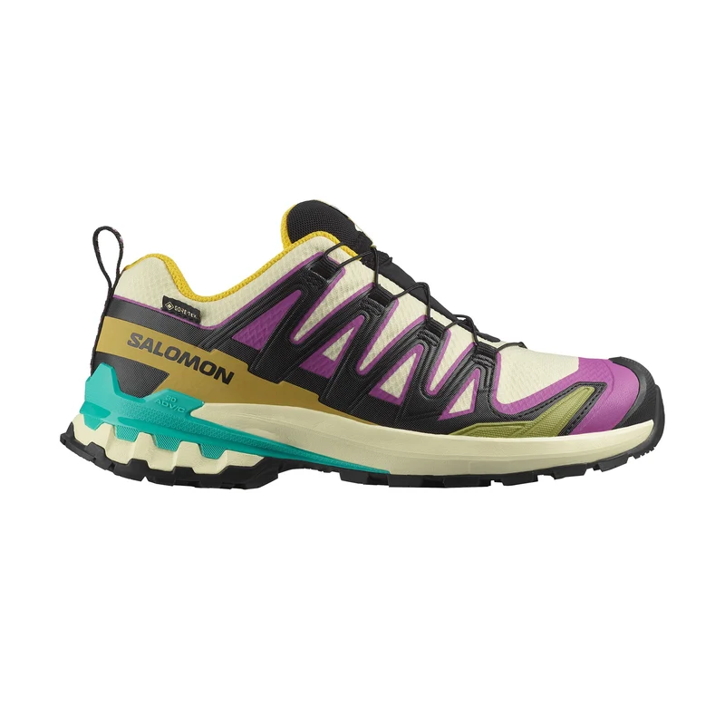 XA Pro 3D V9 Gore-Tex Trailrunningschuhe