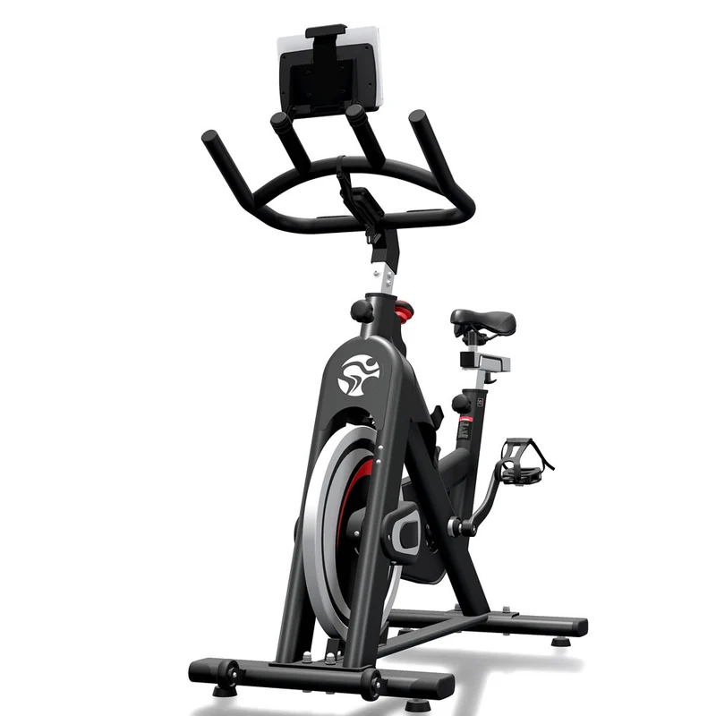 Life Fitness ICG IC1 Indoor Bike