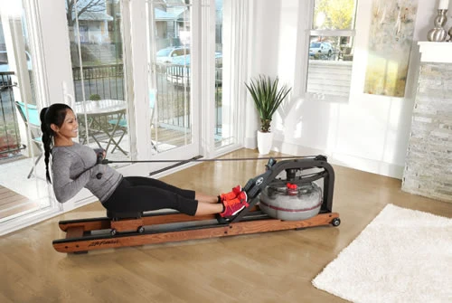 Life Fitness Rudergerät Row HX