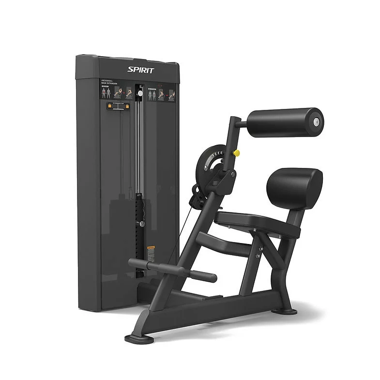 Spirit Fitness Commercial SP-4609 Dual Station Bauch- und Rückentrainer
