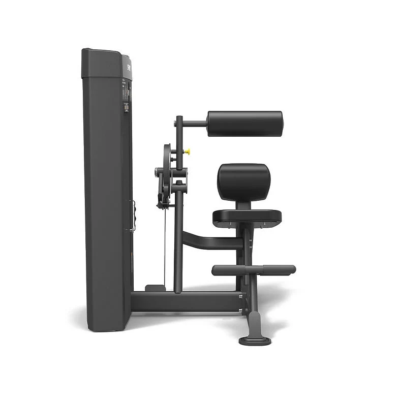 Spirit Fitness Commercial SP-4609 Dual Station Bauch- und Rückentrainer