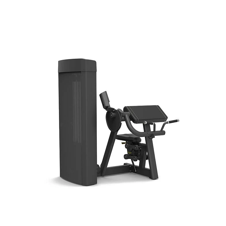 Spirit Fitness Commercial Bizepsmaschine SP-4307